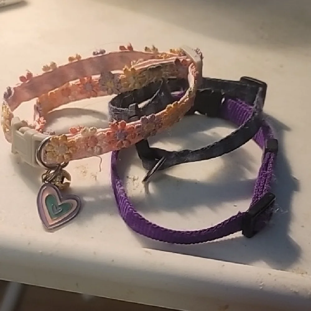 Floral and Purple Pet Collars with Heart Charm